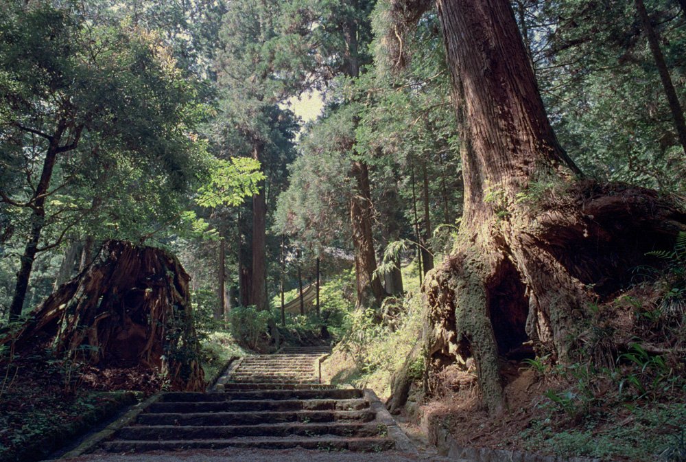 ⛩️ 다이유 산 사이조지(大雄山 最乗寺) 이미지 9